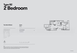 noma photo thumbnail #14